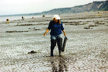 Digging for Clams in Alaska
